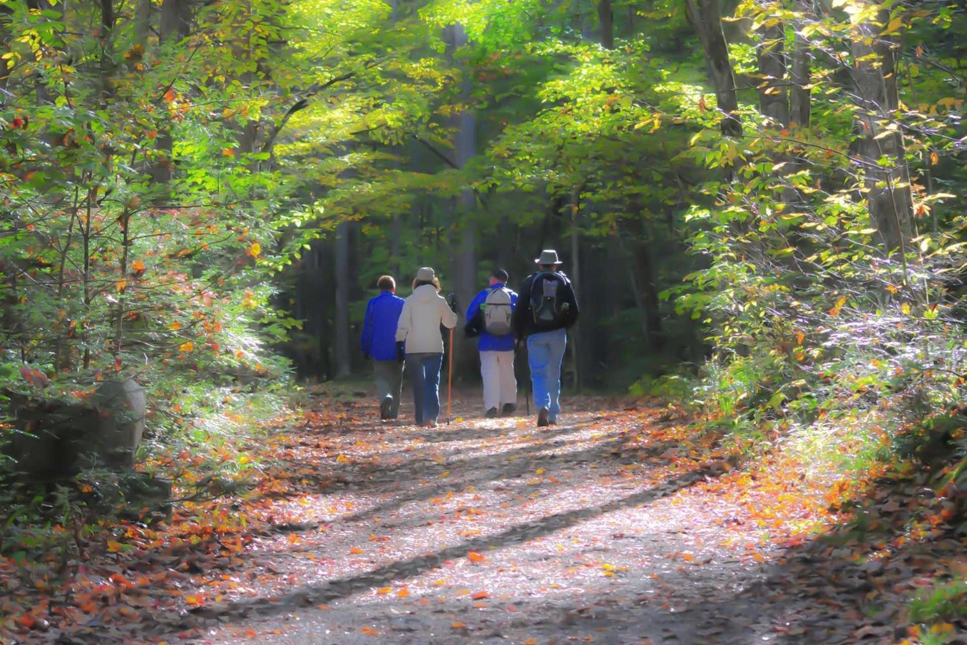 Hidden Hollow Pigeon Forge Eksteriør bilde